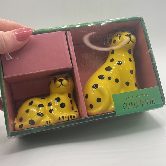 Paper Destiny Salt and Pepper Shakers - Picture 2 of 3